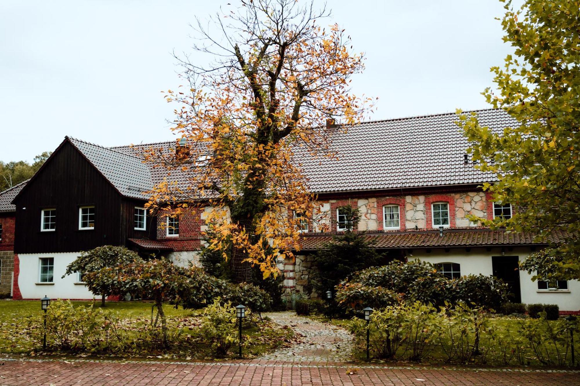 Gryfów ŚląskiNa Uboczu别墅 外观 照片