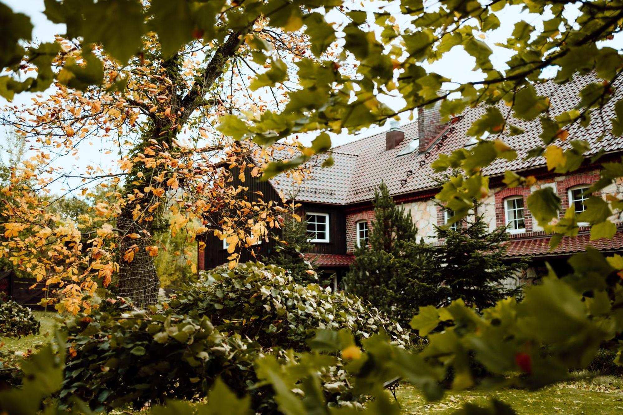 Gryfów ŚląskiNa Uboczu别墅 外观 照片